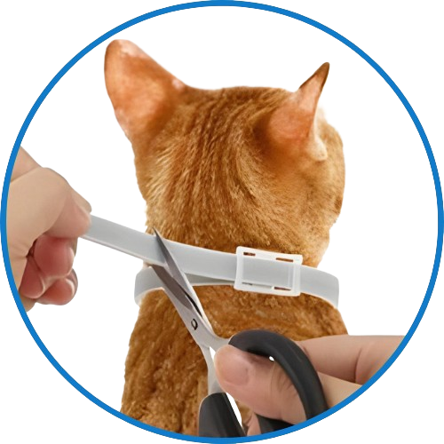 Fur Sweep Flea Collar For Dogs Fur Sweep