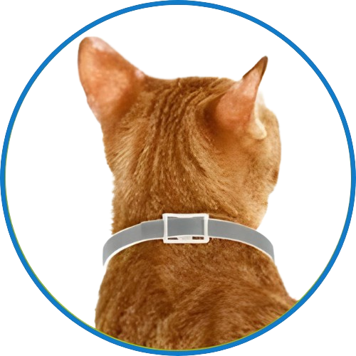 Fur Sweep Flea Collar For Dogs Fur Sweep